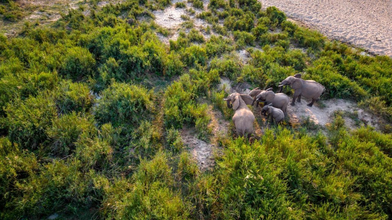 Buckler'S Africa Lodge Kruger Park 코마티푸르트 외부 사진