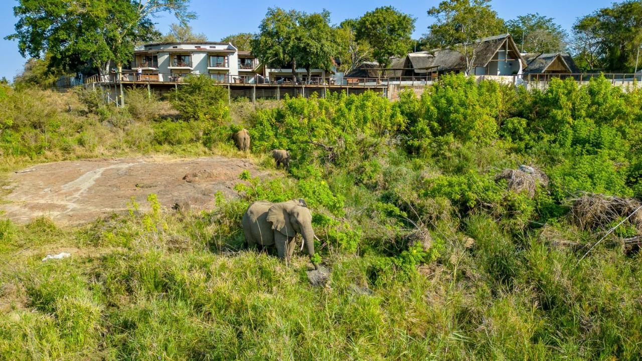 Buckler'S Africa Lodge Kruger Park 코마티푸르트 외부 사진